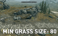 Minimum Grass Size 80